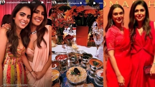 Screen grabs of Anaita's Instagram stories (Instagram) Screen grabs of Anaita's Instagram stories (Instagram)