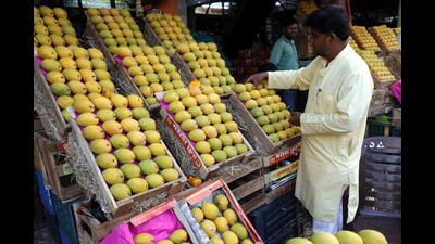 APMC officials are creating awareness amongst citizens and customers coming to Market Yard regarding fake Konkan Alphonso mangoes. (HT PHOTO) APMC officials are creating awareness amongst citizens and customers coming to Market Yard regarding fake Konkan Alphonso mangoes. (HT PHOTO)