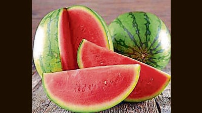 The controversy erupted when an oncologist, Dr Wajahat, just before the start of Ramadan month on March 8, cautioned people against using ‘off-season’ watermelons. (Getty Images/iStockphoto) The controversy erupted when an oncologist, Dr Wajahat, just before the start of Ramadan month on March 8, cautioned people against using ‘off-season’ watermelons. (Getty Images/iStockphoto)