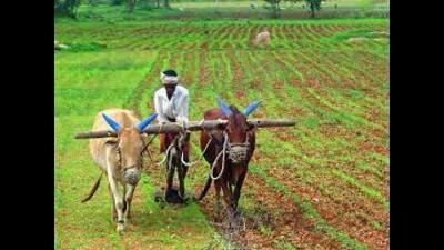 Weather alerts for farmers in drought prone UP tehsils soon (Pic for representation) Weather alerts for farmers in drought prone UP tehsils soon (Pic for representation)