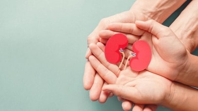Surgeons have performed dual kidney transplant on a patient under dialysis for the first time at AIIMS-Delhi. (Shutterstock)
