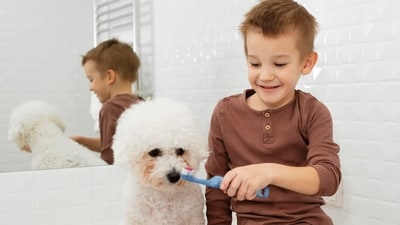 Maintaining your pet's oral health is crucial for their overall well-being. (Freepik) Maintaining your pet's oral health is crucial for their overall well-being. (Freepik)