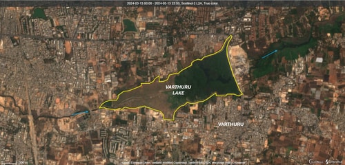 Figure 4: The de-siltation works in some lakes like Varthuru, as seen in a satellite image from March 13, 2024, would have reduced the groundwater recharge (Raj Palanichamy) Figure 4: The de-siltation works in some lakes like Varthuru, as seen in a satellite image from March 13, 2024, would have reduced the groundwater recharge (Raj Palanichamy)
