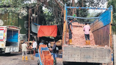 Colaba residents, plagued by Sassoon Docks stink for years, gear up for 3rd hearing of PIL Colaba residents, plagued by Sassoon Docks stink for years, gear up for 3rd hearing of PIL