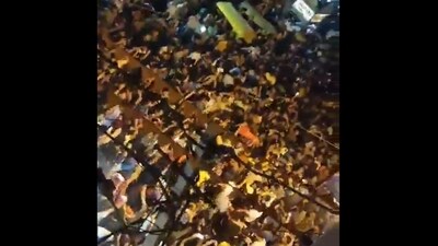 WPL 2024: Fans in Bengaluru celebrating RCB's maiden title win. (X/@mufaddal_vohra)