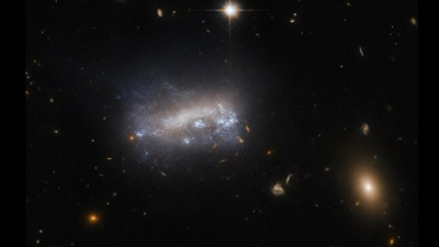 Snapshot of the Virgo galaxy cluster posted by NASA. (Instagram/@nasa) Snapshot of the Virgo galaxy cluster posted by NASA. (Instagram/@nasa)