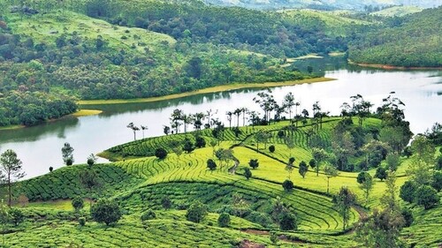 Travel to Munnar for a great long weekend getaway during Holi holidays. (File Photo) Travel to Munnar for a great long weekend getaway during Holi holidays. (File Photo)
