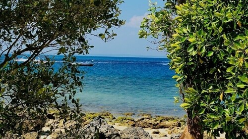 A picturesque view of the Havelock Island in Andaman and Nicobar Islands. (Freepik) A picturesque view of the Havelock Island in Andaman and Nicobar Islands. (Freepik)