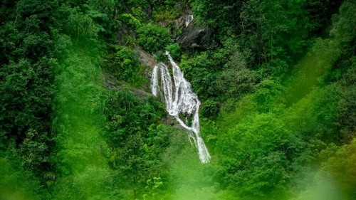 Spend marvelling at the nature during your stay in Kurseong. Spend marvelling at the nature during your stay in Kurseong.