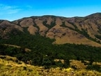 The western ghats and the Nilgiri Biosphere Reserve, a UNESCO World Heritage site, are crucial biodiversity hotspots. (Godwin Vasanth Bosco)