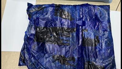 DRI’s probe began on Saturday after the Mumbai unit seized 9.82 kg cocaine worth ₹100 crore from two alleged female carriers who arrived from Addis Ababa, Ethiopia, of Thai and Indonesian nationality, respectively. DRI’s probe began on Saturday after the Mumbai unit seized 9.82 kg cocaine worth ₹100 crore from two alleged female carriers who arrived from Addis Ababa, Ethiopia, of Thai and Indonesian nationality, respectively.