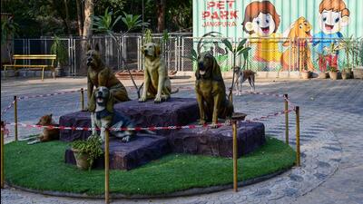 The Pet Park at Jangpura in New Delhi on Tuesday. (Vipin Kumar/HT Photo)