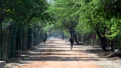 The under construction road inside the Okhla Bird Sanctuary in Gautam Budh Nagar on Tuesday. (Sunil Ghosh/HT Photo) The under construction road inside the Okhla Bird Sanctuary in Gautam Budh Nagar on Tuesday. (Sunil Ghosh/HT Photo)