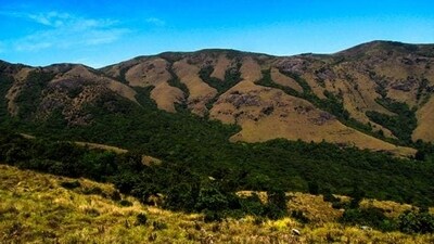 The western ghats and the Nilgiri Biosphere Reserve, a UNESCO World Heritage site, are crucial biodiversity hotspots. (Godwin Vasanth Bosco) The western ghats and the Nilgiri Biosphere Reserve, a UNESCO World Heritage site, are crucial biodiversity hotspots. (Godwin Vasanth Bosco)