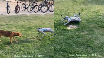 'Real dog vs robot dog' at IIT Kanpur. (Instagram/@Dr Mukesh Bangar) 'Real dog vs robot dog' at IIT Kanpur. (Instagram/@Dr Mukesh Bangar)