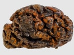 “Human brains preserved spontaneously worldwide, dating back to the last Ice Age,” wrote a researcher while sharing this image on X. “Human brains preserved spontaneously worldwide, dating back to the last Ice Age,” wrote a researcher while sharing this image on X.