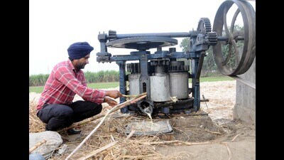 All eyes are on the sugarcane belt of western UP where multiple factors such as Jat politics, Muslim and Dalit votes, are expected to come into play (HT File) All eyes are on the sugarcane belt of western UP where multiple factors such as Jat politics, Muslim and Dalit votes, are expected to come into play (HT File)