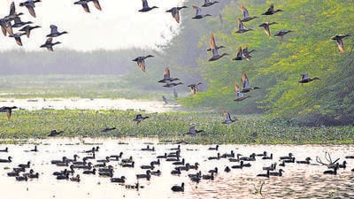 During the last review meeting held on February 22, the committee asked departments to submit data on any gaps left on portions of land along the floodplains, to complete the virtual demarcation, after which physical demarcation on the ground could be done. (HT Archive) During the last review meeting held on February 22, the committee asked departments to submit data on any gaps left on portions of land along the floodplains, to complete the virtual demarcation, after which physical demarcation on the ground could be done. (HT Archive)