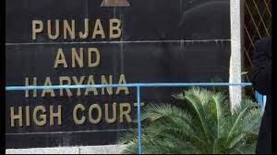 The launch of free public Wi-Fi within the high court premises aims to enable advocates to conduct legal research, access case files, and communicate with clients more efficiently. (HT)