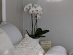 orchids