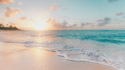 The parents who got drunk and passed out on a US beach, leaving their young children alone, were arrested (Representational image). (Unsplash/@oulashin) The parents who got drunk and passed out on a US beach, leaving their young children alone, were arrested (Representational image). (Unsplash/@oulashin)