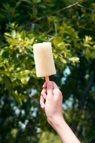 Thandai popsicles (Unsplash) Thandai popsicles (Unsplash)