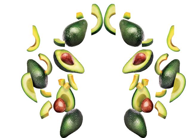 Rich vegetarians love avocados because they are buttery and creamy. (Adobe Stock) Rich vegetarians love avocados because they are buttery and creamy. (Adobe Stock)