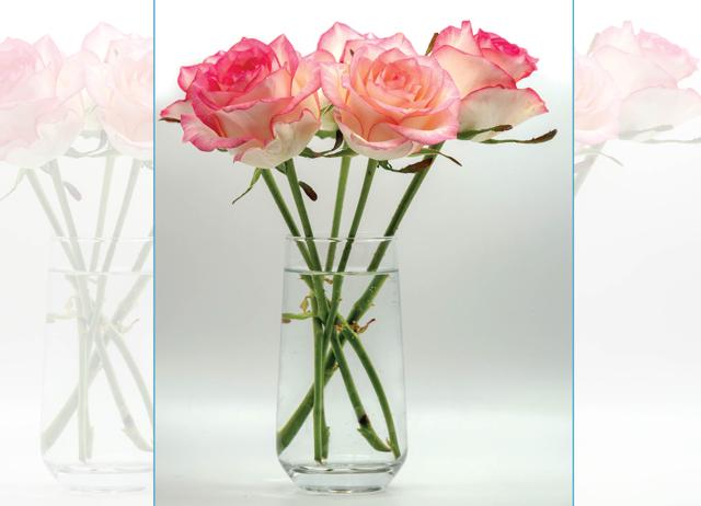 Fresh flowers in your home may seem extravagant, but it’s what makes life feel a little bit better. (Adobe Stock) Fresh flowers in your home may seem extravagant, but it’s what makes life feel a little bit better. (Adobe Stock)