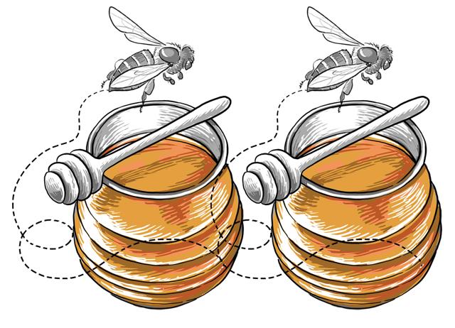 We guarantee you won’t know about every new ingredient, such as Vaduvan honey. (Mohit Suneja) We guarantee you won’t know about every new ingredient, such as Vaduvan honey. (Mohit Suneja)
