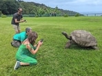 Tourists take photos of Jonathan, a 192-year-old tortoise, on the lawn of Plantation House on the South Atlantic island of St. Helena. St. Helena tourism guide: History, food, how to reach, where to stay at the remote island in South Atlantic 