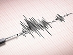 The quake had a depth of approximately eight kilometres The quake had a depth of approximately eight kilometres