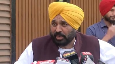 Punjab CM Bhagwant Mann (ANI) Punjab CM Bhagwant Mann (ANI)