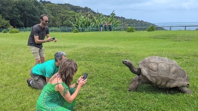 Tourists take photos of Jonathan, a 192-year-old tortoise, on the lawn of Plantation House on the South Atlantic island of St. Helena. St. Helena tourism guide: History, food, how to reach, where to stay at the remote island in South Atlantic (AP Photo/Nicole Evatt) Tourists take photos of Jonathan, a 192-year-old tortoise, on the lawn of Plantation House on the South Atlantic island of St. Helena. St. Helena tourism guide: History, food, how to reach, where to stay at the remote island in South Atlantic (AP Photo/Nicole Evatt)