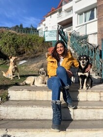 Spending time with the dogs in Manali (Instagram)