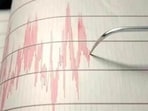 There were no immediate reports of damage or injuries. The tremor was downgraded from a preliminary magnitude of 7.0.(Representative Image) There were no immediate reports of damage or injuries. The tremor was downgraded from a preliminary magnitude of 7.0.(Representative Image)