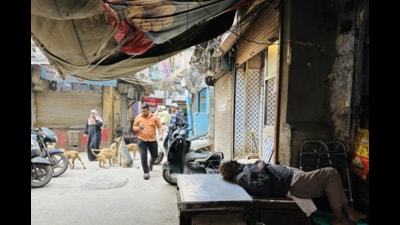 Haveli Azam Khan is said to have been the site of the haveli of a Mughal-era noble called Azam Khan. (HT Photo) Haveli Azam Khan is said to have been the site of the haveli of a Mughal-era noble called Azam Khan. (HT Photo)