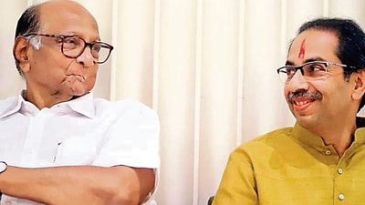 The Maha Vikas Aghadi (MVA) has finalised a seat-sharing agreement for 39 Lok Sabha seats in Maharashtra and Congress leader Rahul Gandhi and Shiv Sena (UBT) chief Uddhav Thackeray will decide on remaining nine seats (HT PHOTO) The Maha Vikas Aghadi (MVA) has finalised a seat-sharing agreement for 39 Lok Sabha seats in Maharashtra and Congress leader Rahul Gandhi and Shiv Sena (UBT) chief Uddhav Thackeray will decide on remaining nine seats (HT PHOTO)