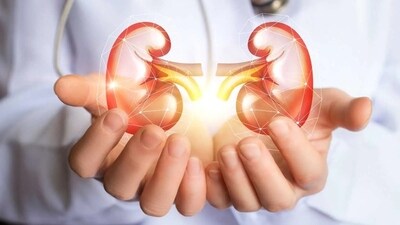 How to prevent diabetic kidney disease? Health expert shares prevention tips for high blood sugar patients and treatment (Photo by Shutterstock) How to prevent diabetic kidney disease? Health expert shares prevention tips for high blood sugar patients and treatment (Photo by Shutterstock)