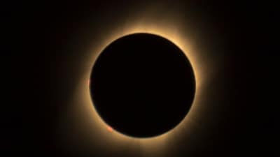 First Solar Eclipse 2024 Horoscope: Let's read why these four sun signs will receive business luck during this period. (Pexel) First Solar Eclipse 2024 Horoscope: Let's read why these four sun signs will receive business luck during this period. (Pexel)