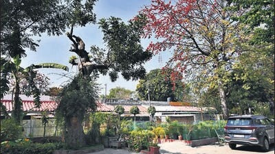MCD flats on Minto Road in New Delhi on March 13. (Arvind Yadav/HT Photo) MCD flats on Minto Road in New Delhi on March 13. (Arvind Yadav/HT Photo)