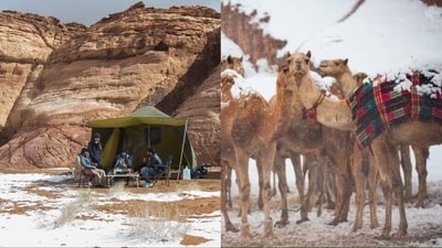 Discovering Middle Eastern allure beyond sand dunes: Top 5 Saudi destinations that need to be in your 2024 travel list (Photos by Twitter/TheSaudiGate/hashimumarali) Discovering Middle Eastern allure beyond sand dunes: Top 5 Saudi destinations that need to be in your 2024 travel list (Photos by Twitter/TheSaudiGate/hashimumarali)