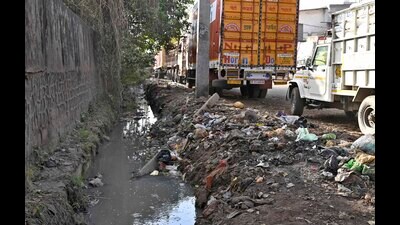 Residents say open drains, common in the colony, are the major cause of concern. At the time of rain, the water also accumulates in the streets due to the clogging of the sewerage systems. (Gurpreet Singh/HT) Residents say open drains, common in the colony, are the major cause of concern. At the time of rain, the water also accumulates in the streets due to the clogging of the sewerage systems. (Gurpreet Singh/HT)