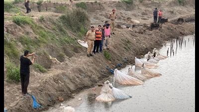 The Jalandhar rural police seized 4.5 lakh litres of ‘lahan’ (raw material used for making liquor) from Jalandhar’s Mehatpur area on Sunday.