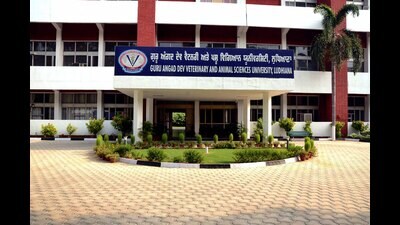 The university has also collaborated with eminent experts, four from India and three from abroad, who have extensive experience in the subject matter. (HT photo)