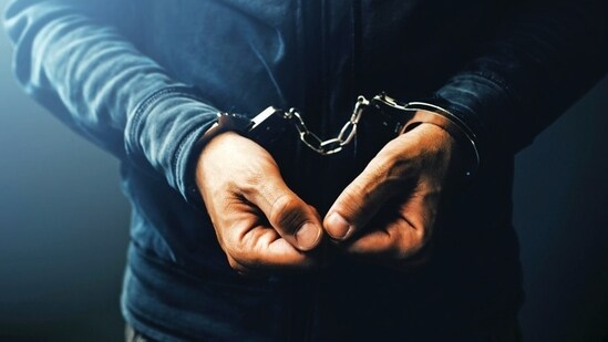 The three attackers -- Piyush Pal, Shubham Soni and Priyanshu -- have also been arrested. (HT File)