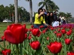 While India does not have an official spring season, March can also be considered India’s spring season. (Photo by Vipin Kumar/ Hindustan Times) While India does not have an official spring season, March can also be considered India’s spring season. (Photo by Vipin Kumar/ Hindustan Times)