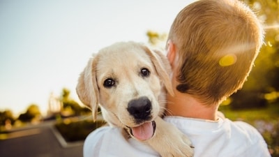 Embarking on the journey of pet ownership is an exciting adventure filled with unconditional love and companionship. (Pixabay) Embarking on the journey of pet ownership is an exciting adventure filled with unconditional love and companionship. (Pixabay)