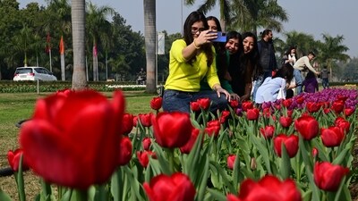 While India does not have an official spring season, March can also be considered India’s spring season. (Photo by Vipin Kumar/ Hindustan Times) While India does not have an official spring season, March can also be considered India’s spring season. (Photo by Vipin Kumar/ Hindustan Times)
