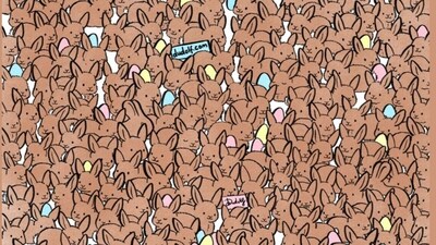 Brain Teaser: How quickly can you find three chocolate rabbits in this picture? (Facebook/@thedudolf) Brain Teaser: How quickly can you find three chocolate rabbits in this picture? (Facebook/@thedudolf)