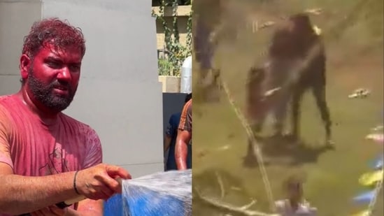 Mumbai Indians players celebrated the festival of Holi.